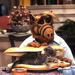 Alf was on the air from 1986 to 1990 and focused on Gordon Shumway (aka ALF) and his human hosts on earth, the Tanner family. They take him in after his spaceship lands on their property, and spend their time trying to fix it for him, while keeping that nosy neighbor Mrs. Ochmonek from finding out about their alien guest. Also, ALF enjoyed eating cats. And now you can watch all four season on on YouTube... where can also find ALF lip synching Michael Jackson's "Bilie Jean":